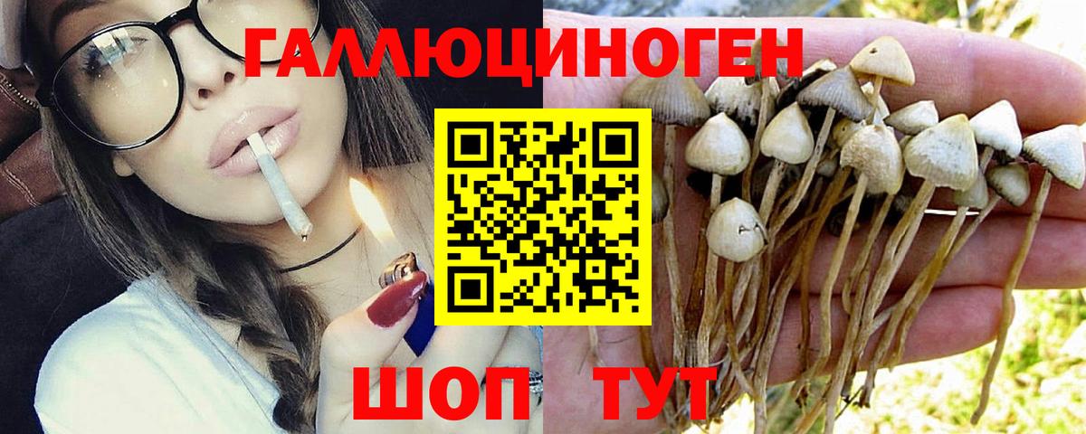 Псилоцибиновые грибы мицелий Усинск
